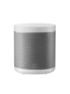 Xiaomi Wireless Speaker