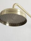 Brushed Gold Traditional Shower