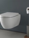 Ceramic Wall Mount Toilet