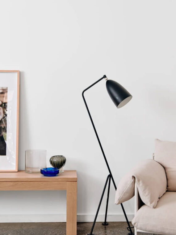 Cream Wall Paint